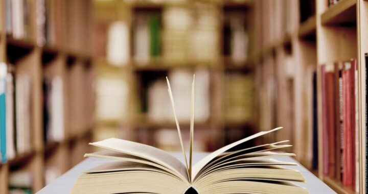 szyde--kowe-zaj--czki-i-chusty-w-bibliotece-----kr-auto-6398